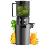 Masticating Juicer For Fruits