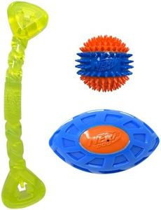 Nerf Dog T