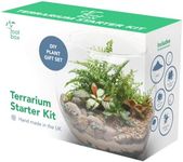 [CLEARANCE] Root Box™ Large Plant Terrarium Kit in scented giftbox | For Succulents, Bonsai, Fittonia, Cactus | Unique DIY GIFT for Summer Anniversaries Birthdays Employees