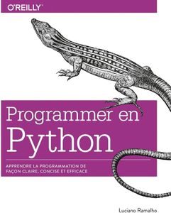 Programmer