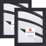 Craig Frames Essentials, Modern 1-Inch Picture Frame, 20 x 30 Inch, Black, Set of 2