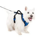 PetSafe EasySport Harness, Small, Blue