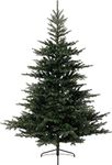 Kaemingk Everlands Grandis Fir Artificial Christmas Tree 2.1m/ 7ft