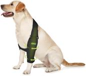 KISFLY Dog Elbow Pads for Elbow Cal