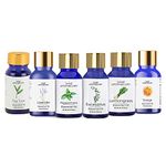 Essential Oils Set - Top 6 Organic Blends for Diffusers, Home Care, Candle Making, Fragrance, Aromatherapy, Humidifiers, Gifts (10 ml)