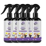 Apna Pets Potty Training Spray for Puppy | Dog Potty Training Spray, Poop Spray for Dogs & Cats Potty Training, Indoor Use, No More Marking, Positively Train Pets Where to Potty -1000ML