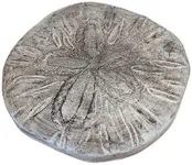 Solid Rock Stoneworks Sand Dollar Stepping Stone- PreAged