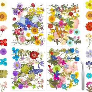 140+ PCS Real Dried Pressed Flowers Leaves Petals for Crafts Yellow- Beautiful Pressed Flowers Daisies for Resin Jewellery, Pressed Flowers Nail Pendant Crafts Making Craft DIY Accessories