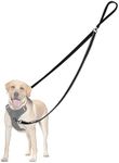 PetBonus Two Point Control Dog Leash, Works with No Pull Harnesses, No Tangle Dog Training Leashes, No Pull Padded and Reflective Walking Lead, Converts to Single Leash for Medium Large Dogs