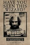 Pyramid International Wanted Sirius Black Maxi Poster, Wood, Multi-Colour, 61 x 91.5 cm