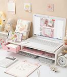 Two-Tiers Computer Desk Organizer M