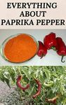 EVERYTHING ABOUT PAPRIKA PEPPER: Pa