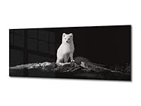 Wall Art Glass Print Picture – Tempered Glass Wall Hanging - Available in 5 different sizes – Animals Series 02