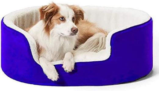 Petslover 