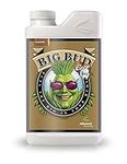 big bud coco 1L advanced nutrients