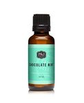 Chocolate Mint Fragrance Oil - Premium Grade Scented Oil - 30ml