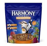 HARMONY Dried Mealworms, 220g – Wil