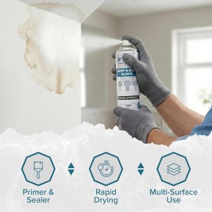 Polar Damp & Stain Block Spray 500ml – Matt White, Anti-Mould Paint for Walls & Ceilings