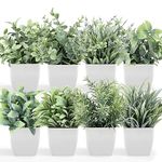 LELEE Artificial Plants Mini Potted Plants, 8 pcs Small Eucalyptus Potted Faux Decorative Grass Fake Plants with White Pot for Home Decor, Indoor, Office, Shelf, Desk, Table Decoration