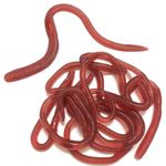 Airfish 10 PCS Stretchy Earthworms Realistic Earthworms, Realistic Fake Worms Scary Props, Wiggly Worm Soft Stretchy Rubber Earthworms, Trick Toy for Prank April Fools Day Supplies Party Favor Gifts