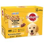 Pedigree Junior Wet Dog Food for Young Dogs and Puppies, 12 Pouches (12 x 100 g)