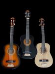 Bass Ukulele/Short Scale bass. Onboard pickup and microphone. Afan model by Buzzards Field Ukuleles (Black)