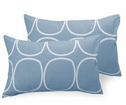 Huesland by Ahmedabad Cotton 144 TC Cotton Pillow Cover Set of 2 - Blue