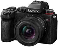 Panasonic Lumix S5D, Full Frame Mir