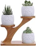 3 Pcs Modern White Ceramic Succulent Pots with 3 Tier Bamboo Saucers Stand Holder - Flower Planter Plant Pot with Drainage - Indoor Mini Home Office Desk Decoration Plant Pot - White - Pack of 3