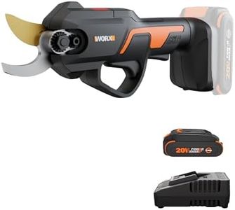 Worx 20V W