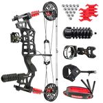 surwolf Archery Compound Bow Kit Steelball Bow Set Draw Weight 30-60Lbs, CNC Al-6061 Maded, Dual-use Hunting Bow can Shoot Arrow and Steel Ball in Car (Type A)