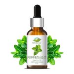 Farm Blends Peppermint Essential Oil 100% Undiluted Pure | Headache Relief, Anti Acne, Anti Dandruff, Relaxes Muscle, Cough Relief, Keeps Rats Away | Farm To Home | Natural | Mentha piperita | 15ml