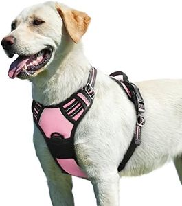 Eagloo Dog