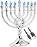 The Dreidel Company Traditional LED