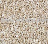 Pearled Soft Wheat- 22lb