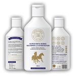 C&G Pets | Powerful Organic Super Shine Horses Shampoo 500ml | Instant Antibacterial Skin Soothing Relief | Effectively Cleans and Shines Hair | Low Lathering Natural