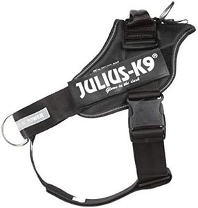Julius-K9,