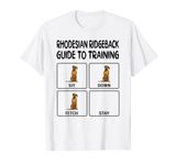 Training Shirt For Dogs