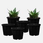 YUCCABE ITALIA SHERA Crown 12 INCH Planter Pack of 6 Nursery pots Set Plastic Planter for Plants Nursery Seedling Germination pots Flower Pots for Balcony (Black)