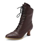 LanreyTaley Victorian Boots For Women Vintage Granny Boots Renaissance Ankle Boots Low Heel Lace Up Booties With Zipper, Brown, 8