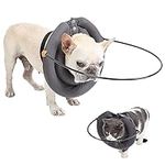 Blind Dog Accessories,Hekisace Ligh