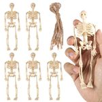 NQEUEPN 6pcs Mini Skeletons for Halloween, Funny Small Skeleton Model Miniature Skeleton Figurines Haunted House Props Parties Decoration Supplies(Grayish-White)