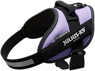Julius-K9,