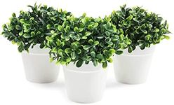 Juvale Mini Artificial Plants in White Pots, Home Decor (5 x 5.2 in, 3 Pack)