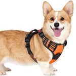 rabbitgoo Small Dog Harness with Neck Release Buckle, Adjustable Soft Padded Puppy Pet Vest, Reflective No Pull Dog Harness, Orange, S