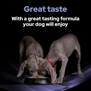 PRO PLAN FortiFlora Dog Probiotic Supplement, 30 x 1g Sachets