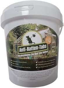 Anti Ratte