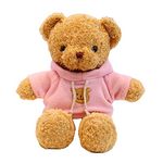 Teddy Bear Doll Plush Toy Bear Pillow Soft Bear Stuffed Animals Plush Toy Birthday Gift for Girlfriend Children (Pink sweater,30cm)