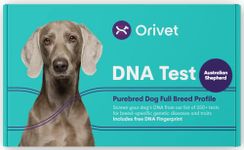 ORIVET Australian Shepherd Full Breed Profile Dog DNA Test Kit Comprehensive Health and Trait Screen