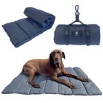 Camping Gear For Dogs